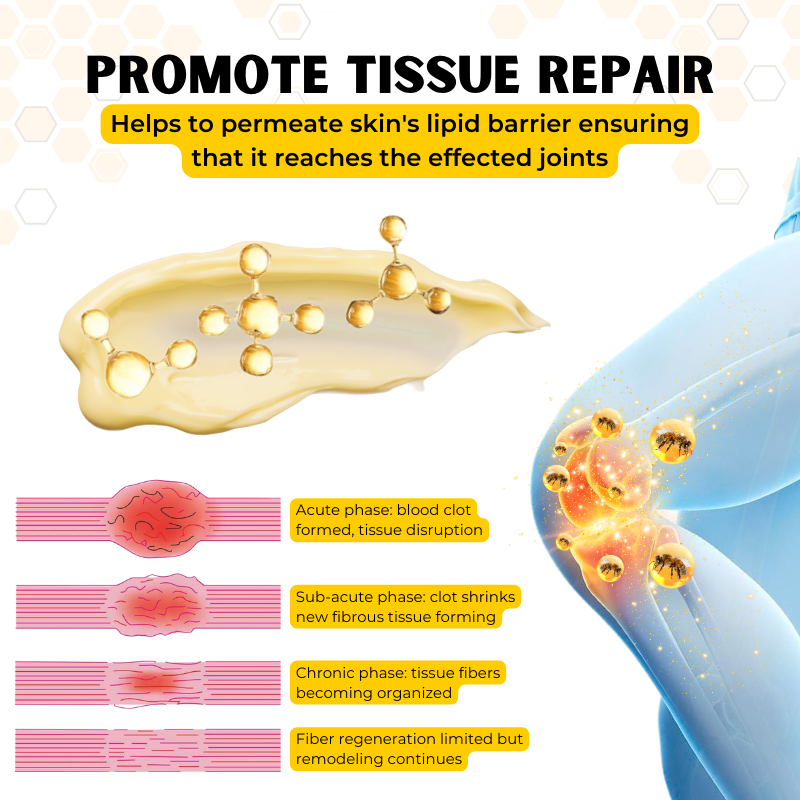 Biancat™ OrthoRestore Bee Venom Joint Relief Cream (New Formula)